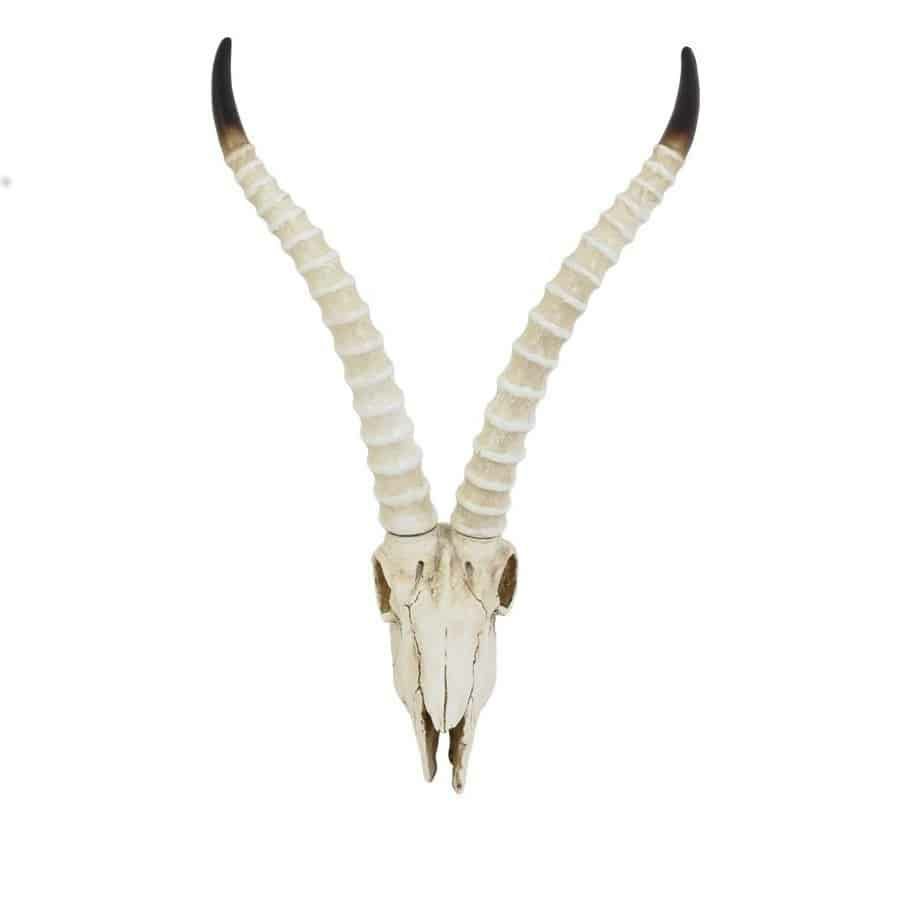 Sculptures & Figures | Wall Ornament Skull Antelope 37X22X50 Cm Home Accessories Sculptures & Figures