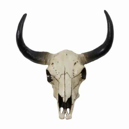 Sculptures & Figures | Wall Ornament Skull Buffalo 31X12.5X34 Cm Home Accessories Sculptures & Figures