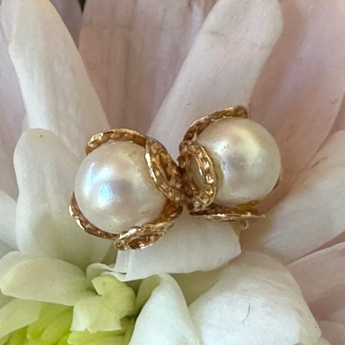 ONeills Estate Jewelry 14 Karat Yellow Gold Cultural Pearl Earrings 31000344 Earrings
