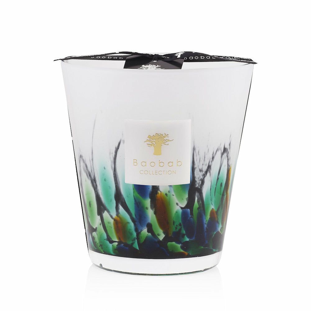 Home fragrances & scented candles | Baobab Scented Candle – Rainforest Amazonia Max 16 Home Accessories Home fragrances & scented candles