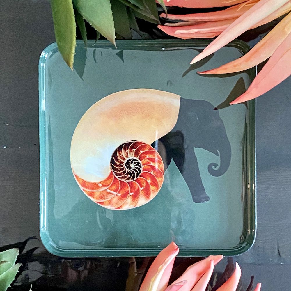 trays | Vide-Poche ‘Shellephant’ Elephant Shell Design 15X15Cm Home Accessories trays